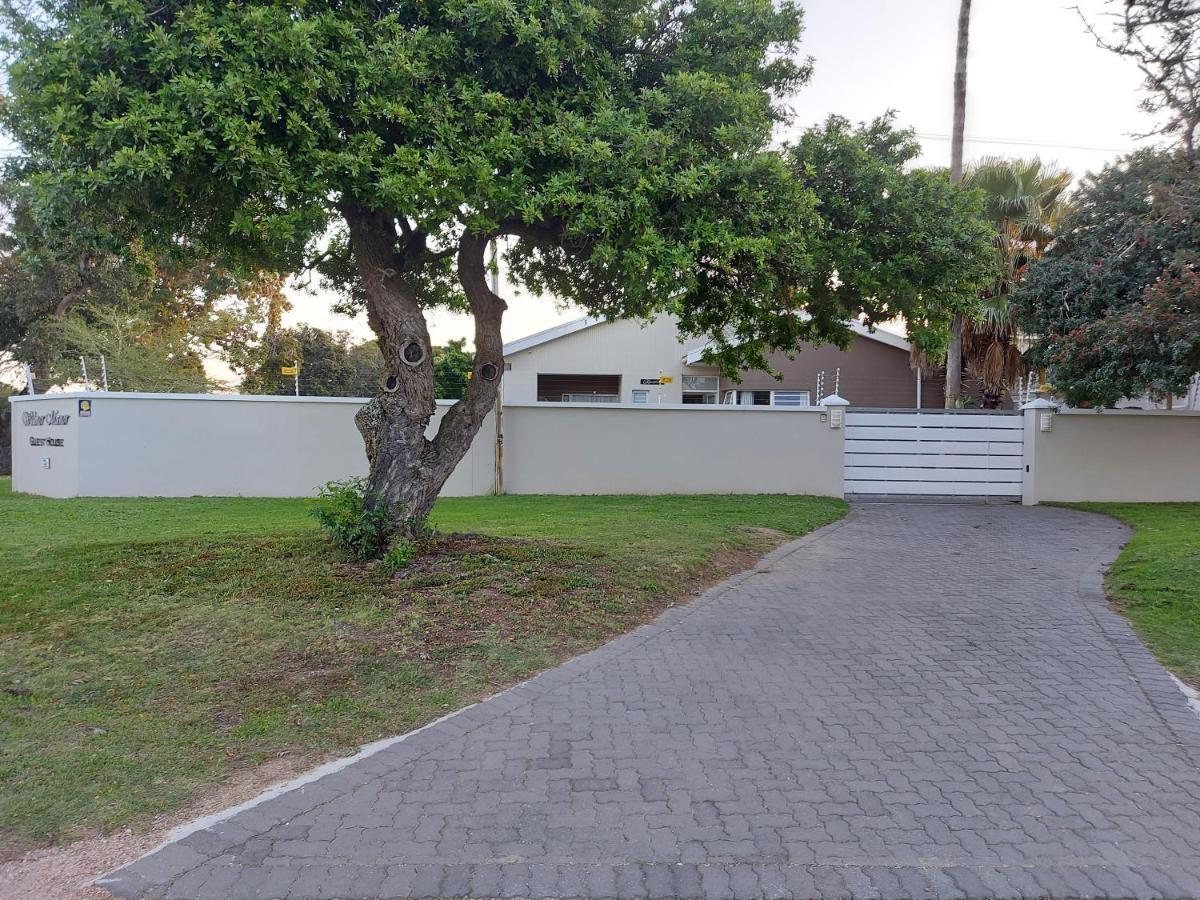 Walmer Manor Guest House Puerto Elizabeth Exterior foto